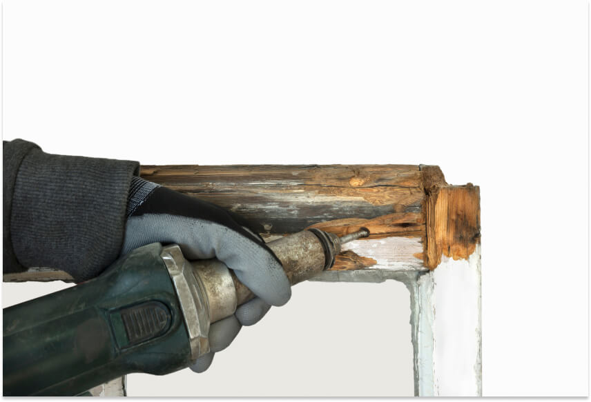 Repair rotted sash window